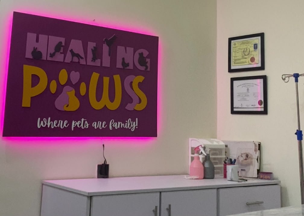 HealingPaws veterinary clinic - compassionate care for pets