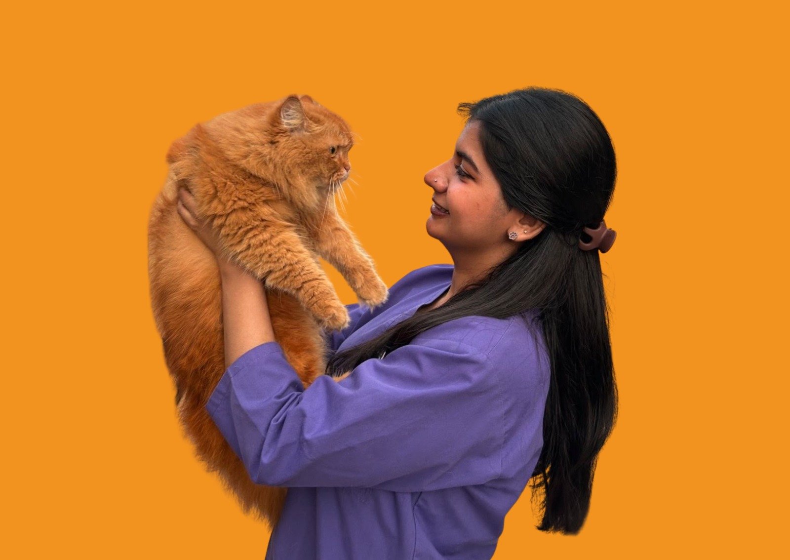 Veterinarian examining a calm pet