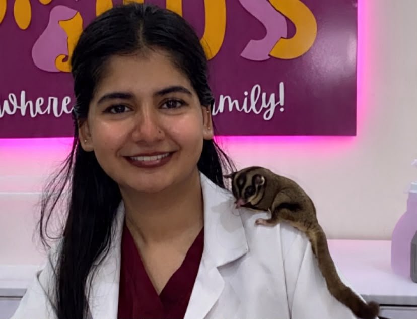 HealingPaws clinic - where pets are family